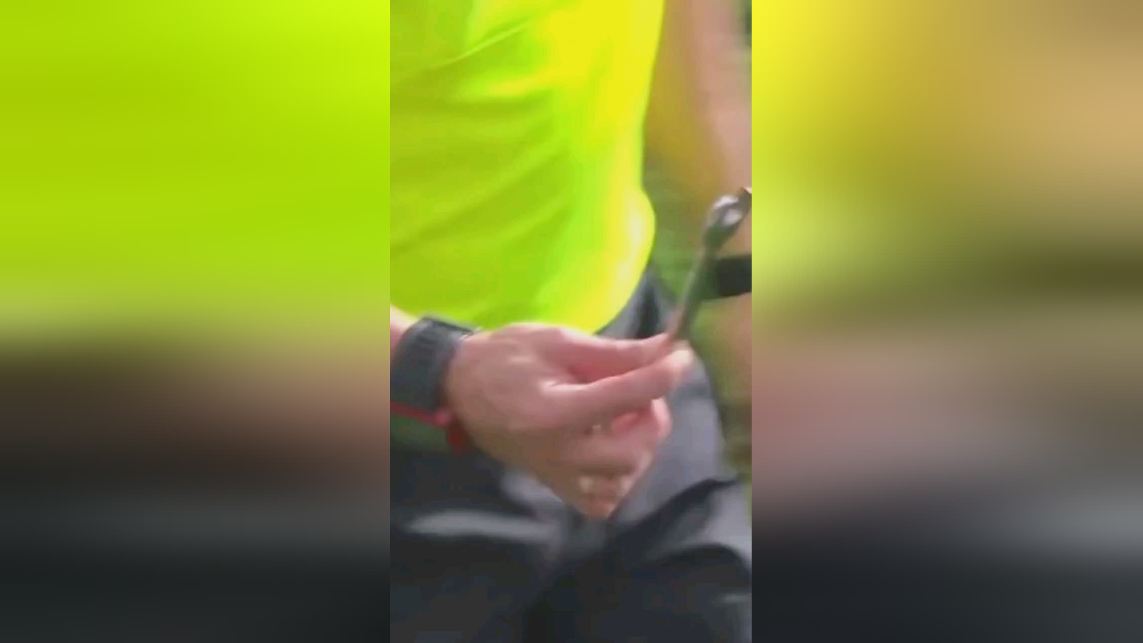 的观众
